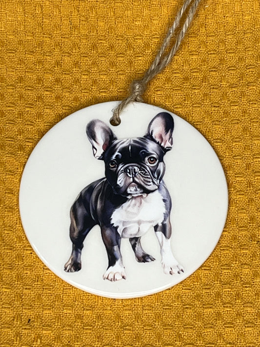 French bulldog Blk&white