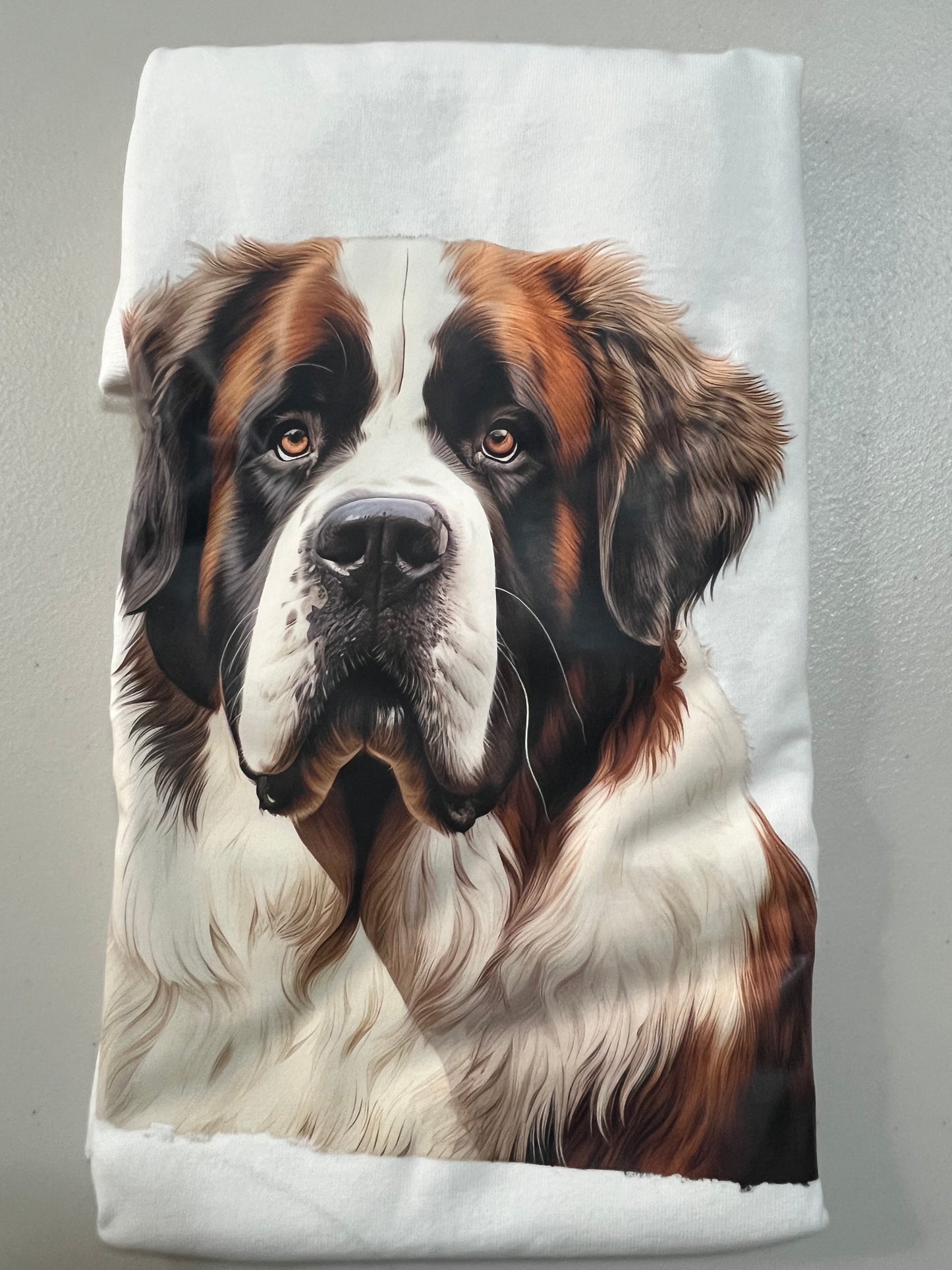 Saint Bernard