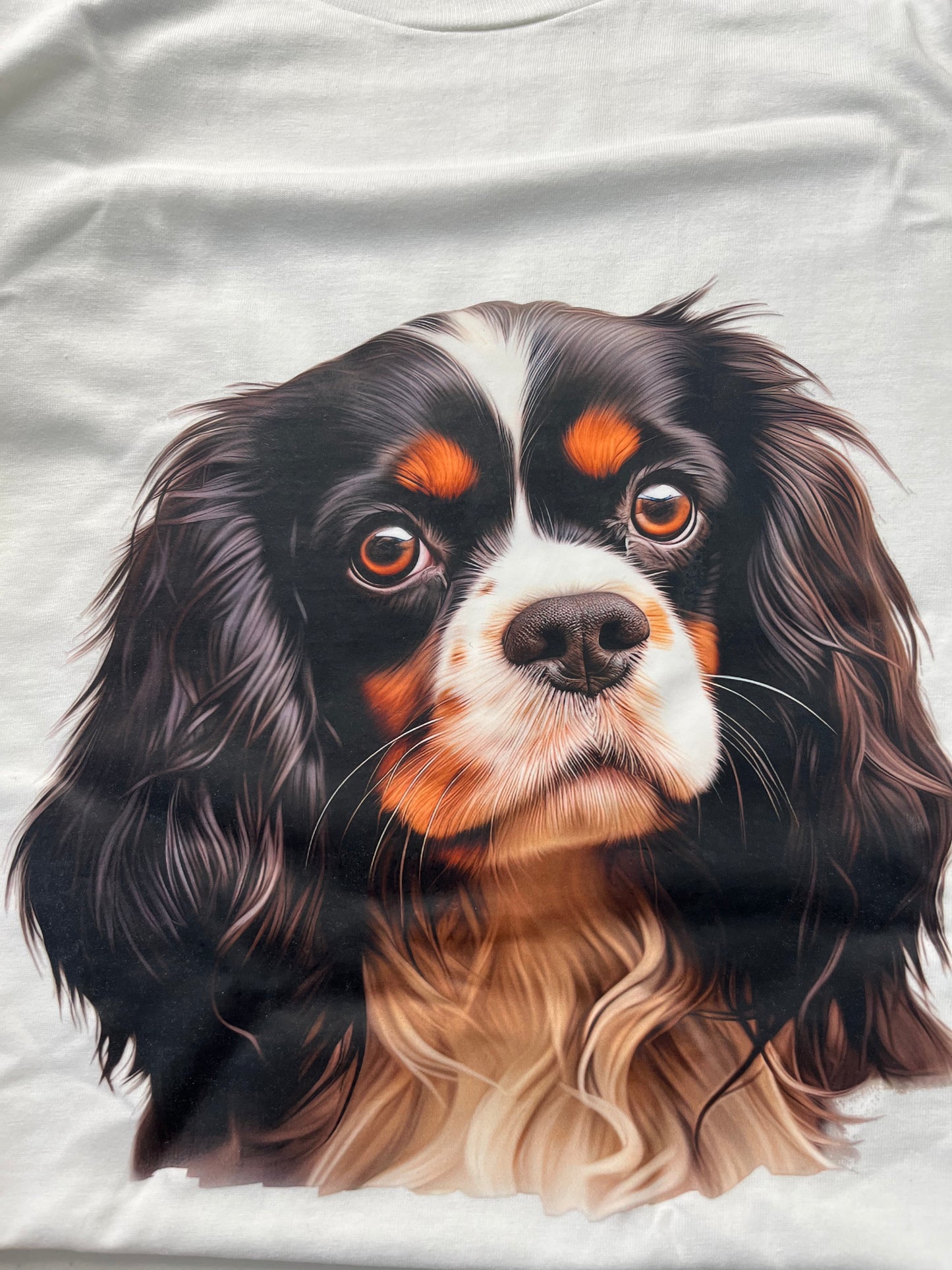 Cavalier king Charles spaniel #2 T-shirt