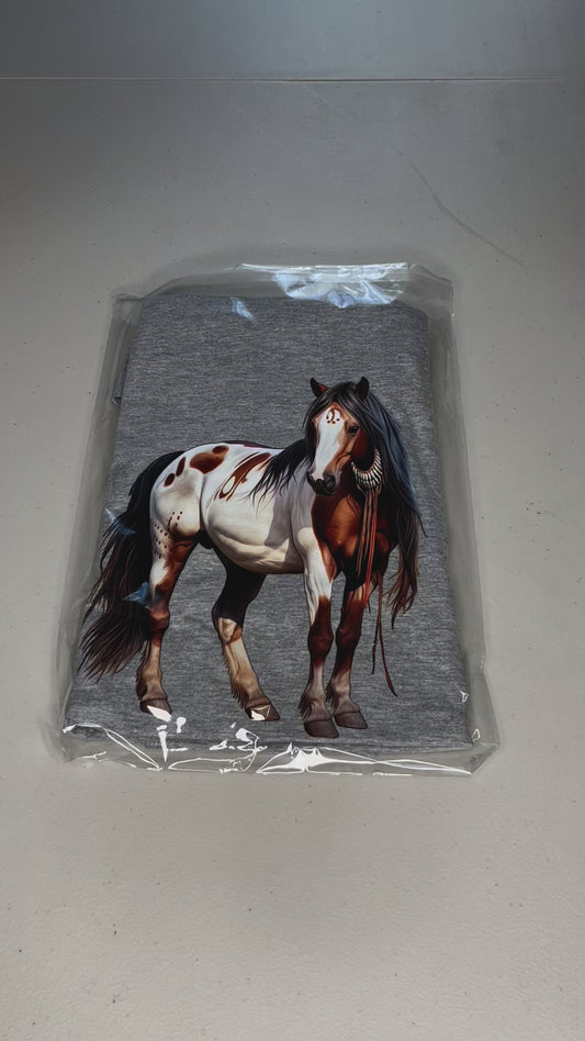 American paint horse #3