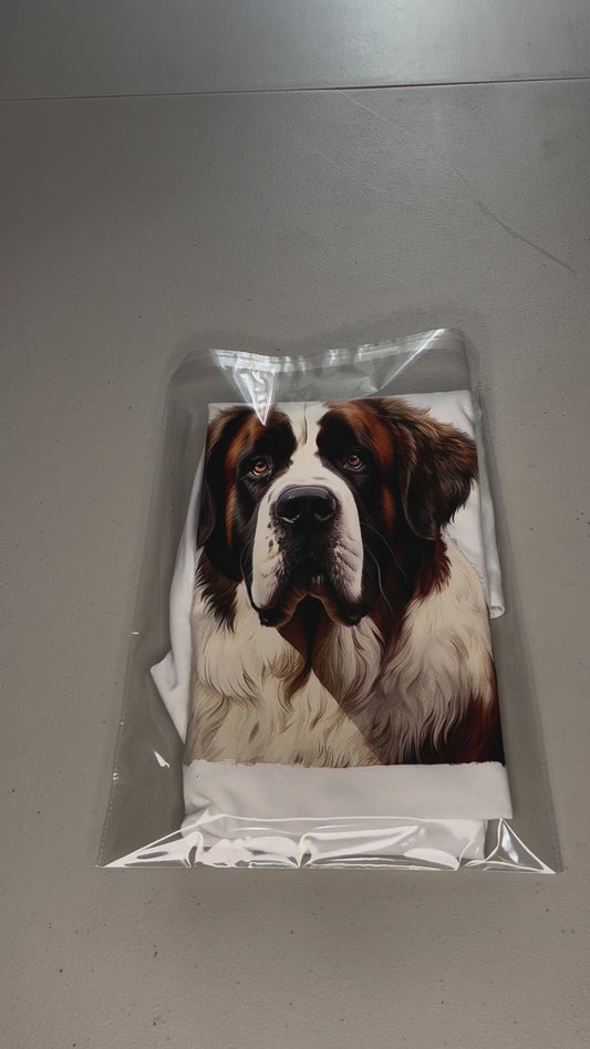 Saint Bernard