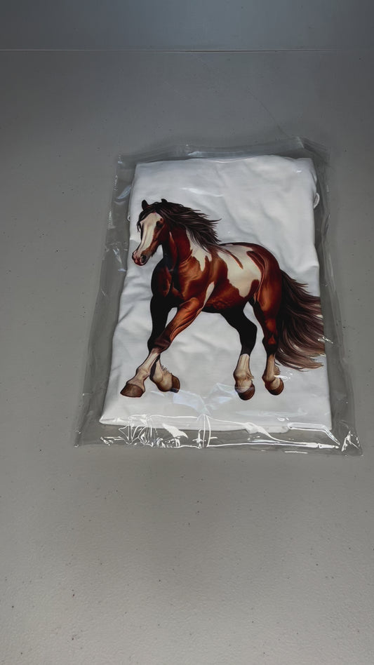 American Paint horse #5