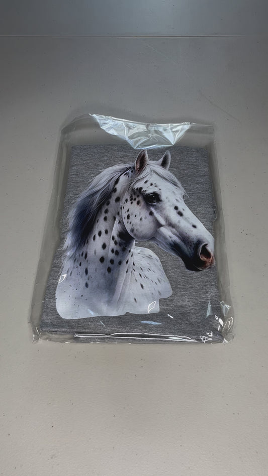 Leopard Appaloosa horse#1