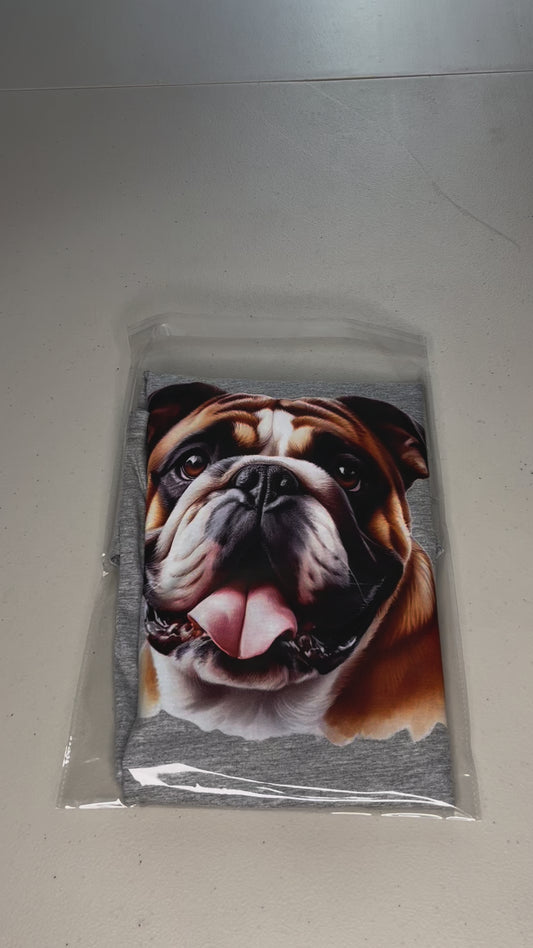 English Bulldog #2