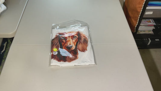 Dachshund Red longhair T-shirt