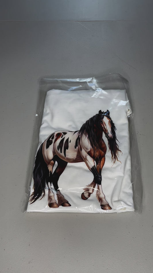 American Paint horse #2